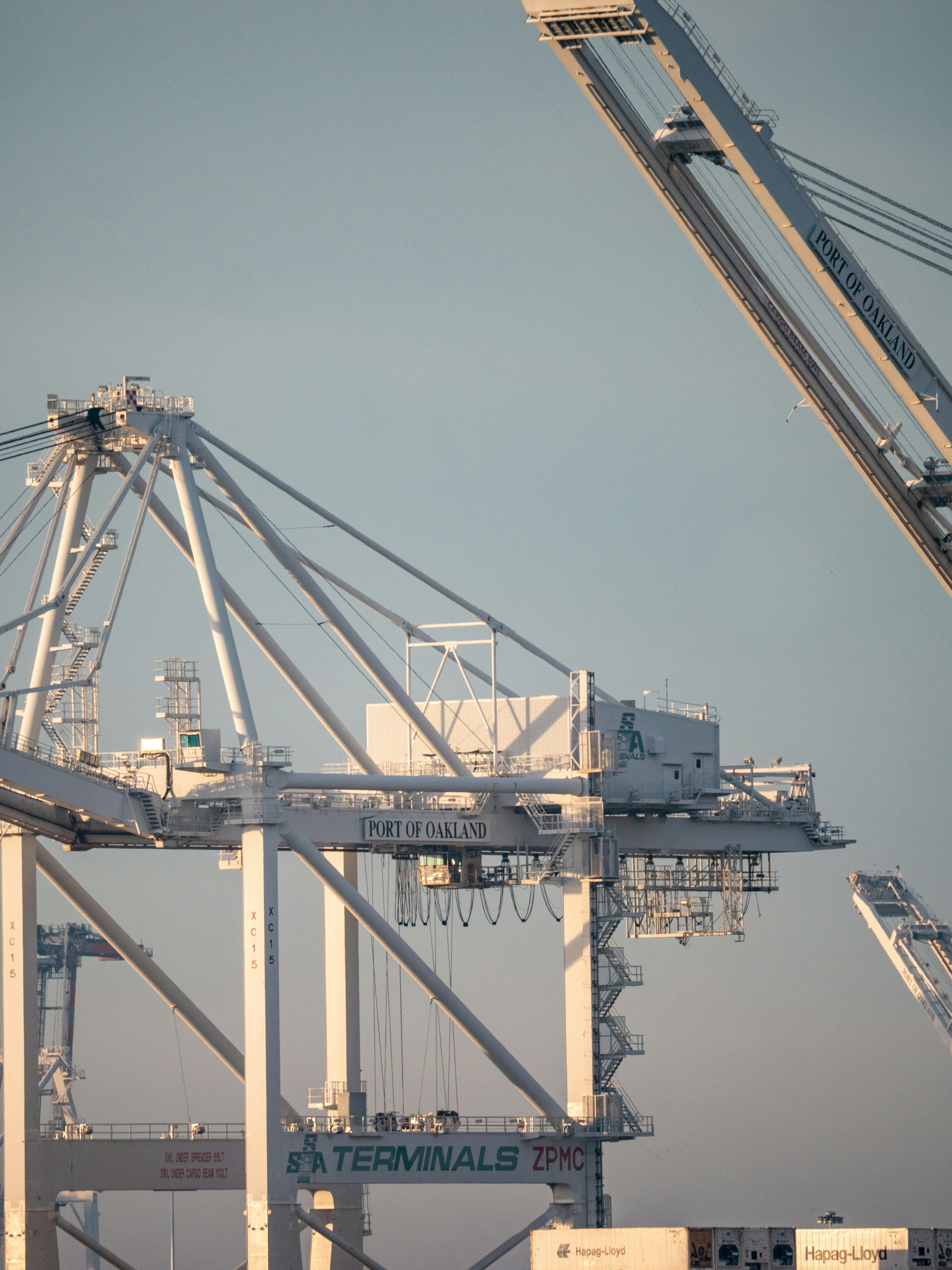  FREE TRADE ZONE